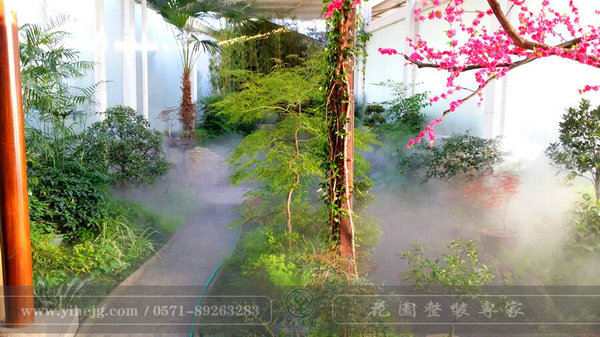 這樣的室內(nèi)庭院，簡(jiǎn)直讓我尖叫！